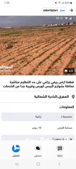  12 محال تجارية للايجار - الشارع الرئيسي/حي الاسكان-اسكان ابن سينا بالزرقاء الجديدة البتراوي