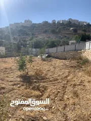  3 ارض للبيع مميزة في دويربان واد الزرزير