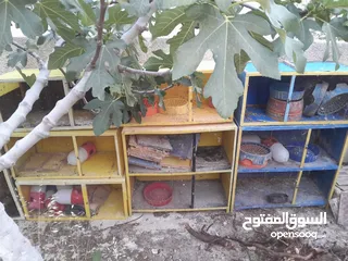  2 قنون حمام لوكسان للبيع