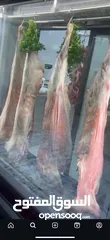  2 ملحمة للبيع بكامل معداتها لم تعمل سوا شهرين