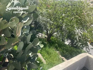  4 بيت مستقل للبيع ارض (حجه) مش قوشان طبربور مع ارض مساحه 745