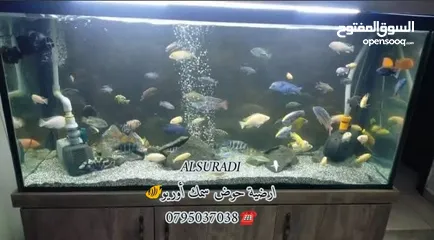  27 رمل سيلكا  توف بركاني  كوارتز  كسر رخام احجار وصخور مميزه سكيب احواض سمك
