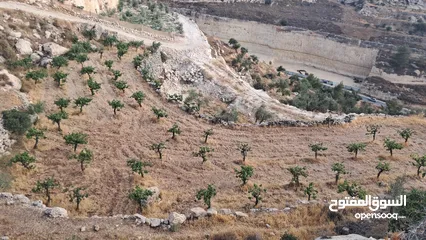  1 أرض في بيت كاحل مطلة على واد القف  شارع هيكلي لها من واد القف عرض 8 متر وشارع عرض 6م من بيت كاحل