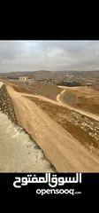  10 قطع (طابو)  مطلة على شارع المية(ممر عمان التنموي) وادي العش من المالك