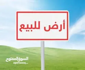  1 قطعة ارض في نابلس الجديدة حوض 10 رفيديا