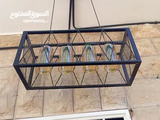  19 ثريات ومعلقات جديده استعمل بكم شهر للبيع بداعي السفر والرحيل