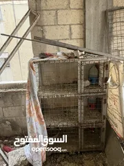  3 قنون حديد ( تفصيل ) جبل النصر