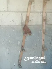  12 حمام للبيع