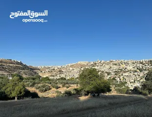  2 ارض للبيع أجمل مناطق وادي السير موقع هادئ ومطل  ممتاز للبناء أو الاستثمار من المالك مباشرة