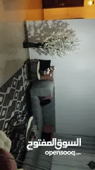  6 روف بسردا بسعر مرتب