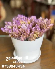  20 شجر اطناعي بطابع الطبيعي