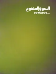  3 بيت للاجار نابلس العامريه