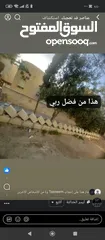  3 بيت للبيع مستقل