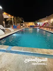  28 شاليه فخم للإيجار في الغور الجوفه