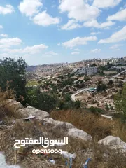  2 أرض للبيع 850 متر طابو في لوزا