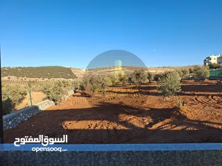  9 رقم الاعلان (4495) مزرعة للبيع في الكمشة حوض الميدان اطلالة بانوراما