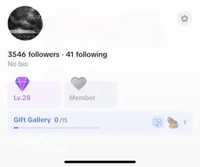  1 Tiktok account level 28