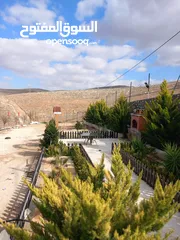  14 مزرعه للبيع