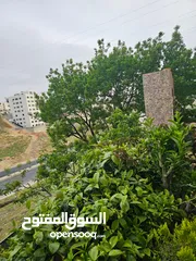  18 لقطة لقطة سعر شقة شبه ارضي في حي الكرسي