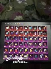  10 حساب فول بوبجي