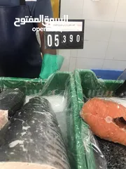  14 ‏للبيع سمك