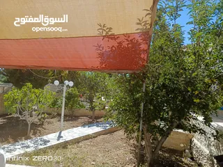  10 بيت حجر مستقل للبيع