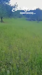  15 قطعه ارض للبيع من المالك مباشره ذات اطلاله بانوراما خلابه مفروزه