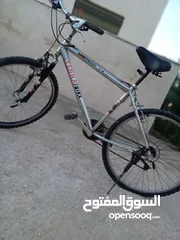  9 بسكوليت الماني جنط 26