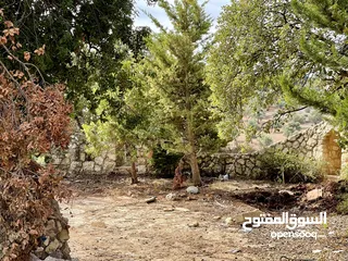  3 الفحيص - حوض أبو ركبة  أرض مميزة جدًا