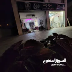  1 شقة مميزة في موقع ممتاز شار محمود عباس