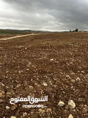  17 للبيع قطع مفروزة طريق الزرقاء اربد منطقة بلعما واصل خدمات