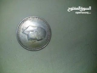  14 نوادر للبيع منفصله لأعلى سعر