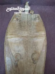  11 نوادر..حقيبة من جلد صغير تنين الكومودو