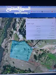  1 ارض للبيع الشونه الشماليه مطله على النهر اليرموك ومفتوح شارعين