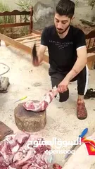  2 خدمه ذبح الأضاحي في المنازل
