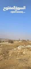  16 مزرعه 3400 متر مفروزه كوشان مستقل عاليه كاشفه وسط الظهره منطقه راقيه و سعر مميز جدا