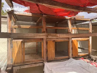  2 Big Hand Made cage for birds