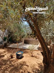  8 منزل مستقل للبيع