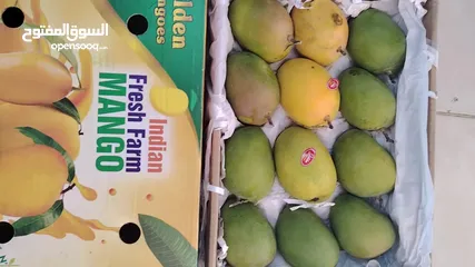  3 Indian Alphonso Mango