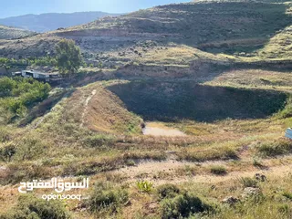  5 قطعة أرض زراعية مخدومة للبيع في السلط تصلح للمشاريع الاستثمارية