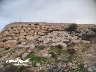  11 1800 م ارض طابو A الخليل دورا  خرسه