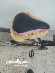  4 بسكويت فلبس نمره 26/25 في حال الوكاله