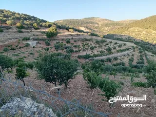  2 أرض للبيع في عنجره منطقة شمسين