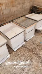  3 صناديق خلايا نحل مستعمل