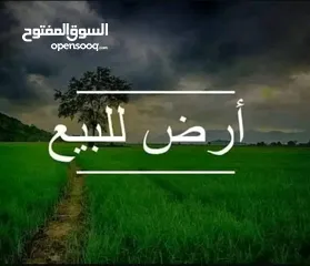  1 ارض للبيع بيت لحم المستشفى القطري