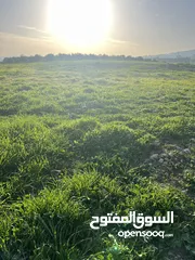  2 ارض للبيع جرش عنيبه بقوشان مستقل 3500متر مفروزه بقوشان مستقل اطلاله مميزه جدا جدا