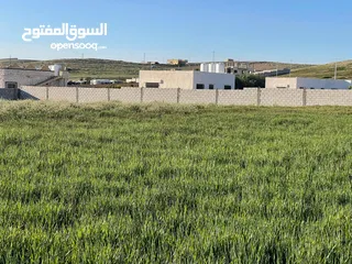  2 ارض زراعية في بلعما للبيع مساحتها 3500 متر