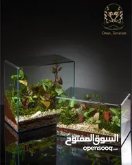  7 Terrarium fresh flower