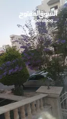  6 بيت مستقل للبيع