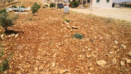  5 ارض للبيع قطعتين يوجد فيها اربع بيوت ثلاث جاهزات للسكن وواحد بدو تشطيب  15 دونم زيتون وحلويات دوالي